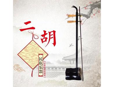 招聘合肥二胡家教老师